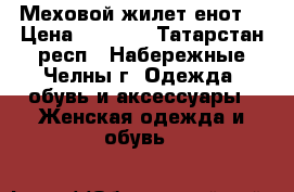 Меховой жилет енот  › Цена ­ 4 000 - Татарстан респ., Набережные Челны г. Одежда, обувь и аксессуары » Женская одежда и обувь   